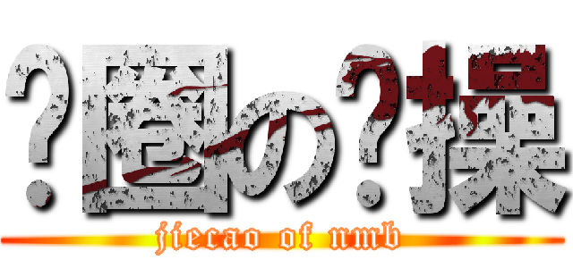 贵圈の节操 (jiecao of nmb)