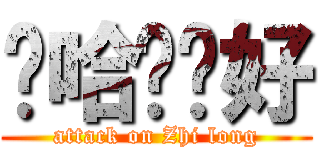 嗨哈囉妳好 (attack on Zhi long)