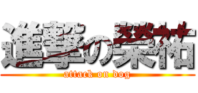 進撃の榮祐 (attack on dog)