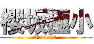 櫻坂極小 (Gakkari )