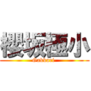 櫻坂極小 (Gakkari )