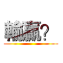 輸贏？ ()