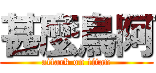 甚麼鳥阿 (attack on titan)