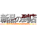 新品の到店 (HOT RECOMMEND)