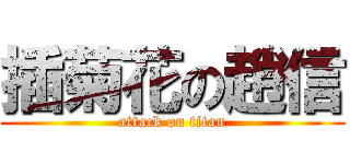 插菊花の趙信 (attack on titan)