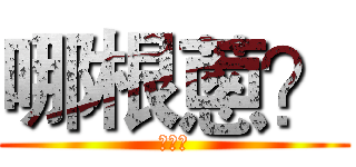 哪根蔥？ (???)