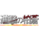 進擊の柏蒼 (attack on titan)