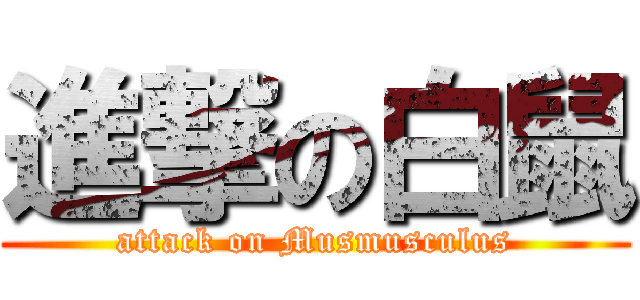 進撃の白鼠 (attack on Musmusculus)