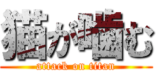 猫が噛む (attack on titan)