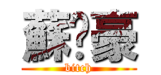 蘇啟豪 (bitch)