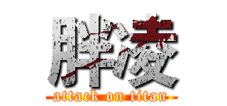 胖凌 (attack on titan)