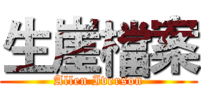 生崖檔案 (Allen Iverson)