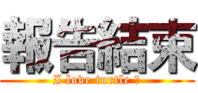 報告結束 (I love turtle 🐢)