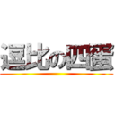 逗比の四蛋 ()