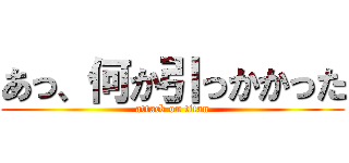 あっ、何か引っかかった (attack on titan)