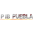 ＰＩＢ ＰＵＥＢＬＡ (attack on pib)