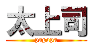 太上司 (papapa)