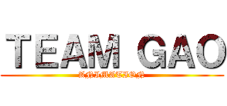 ＴＥＡＭ ＧＡＯ (ANIMATION)