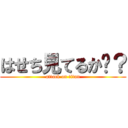 はせち見てるか−？ (attack on titan)