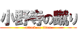 小野寺の蹴り (attack on titan)