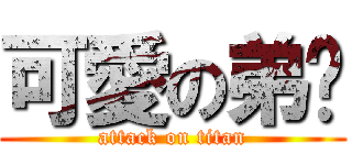 可愛の弟咕 (attack on titan)