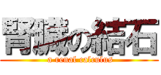 腎臓の結石 ( a renal calculus)