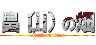 畠（山）の畑 (attack on titan)