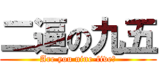 二逼の九五 (Are you nine-five？)