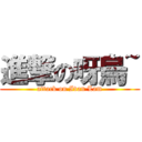 進撃の呀烏~ (attack on Ivan Lam)