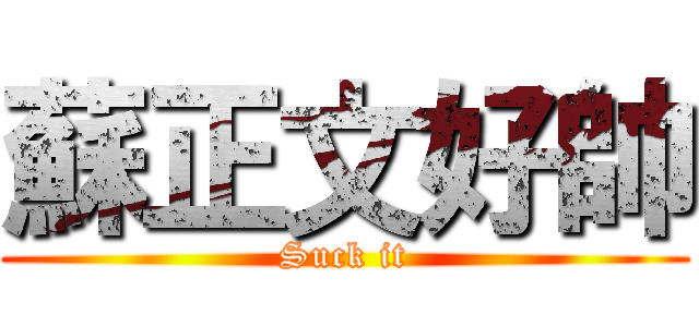 蘇正文好帥 (Suck it)