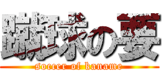 蹴球の要 (soccer of kaname)