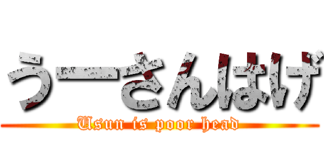 うーさんはげ (Usun is poor head)