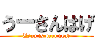 うーさんはげ (Usun is poor head)