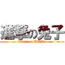 進撃の兔子 (attack on BBBit)