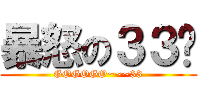 暴怒の３３姊 (GOGOGO~~~33)