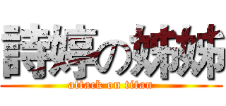 詩婷の姊姊 (attack on titan)