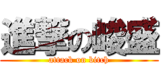 進撃の峻盛 (attack on bitch)