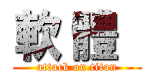 軟 體   (attack on titan)