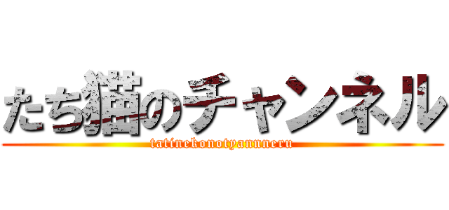 たち猫のチャンネル (tatinekonotyannneru)