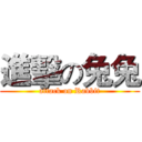 進擊の兔兔 (attack on Rabbit)