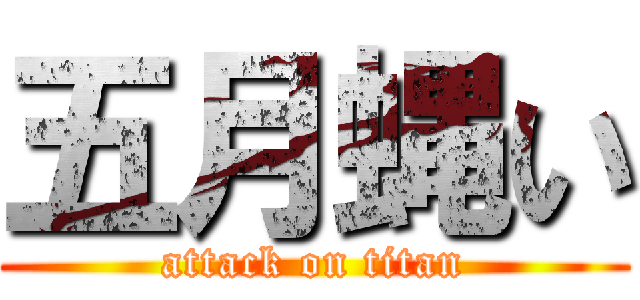 五月蝿い (attack on titan)