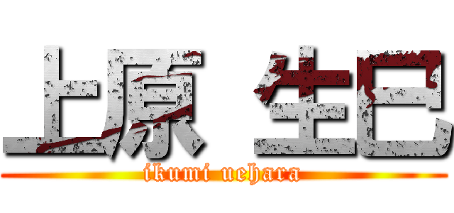 上原 生巳 (ikumi uehara)