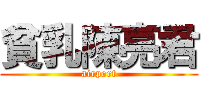 貧乳陳亮君 (airport)