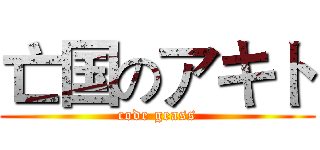 亡国のアキト (code geass)