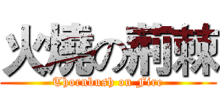 火燒の荊棘 (Thornbush on Fire)