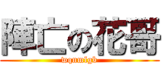 陣亡の花哥 (wqnmlgb)