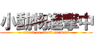 小動物進撃中 (attack on small animals)