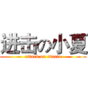 进击の小夏 (attack on stacia)