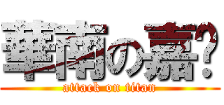 華南の嘉雯 (attack on titan)