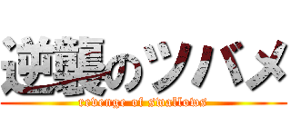 逆襲のツバメ (revenge of swallows)